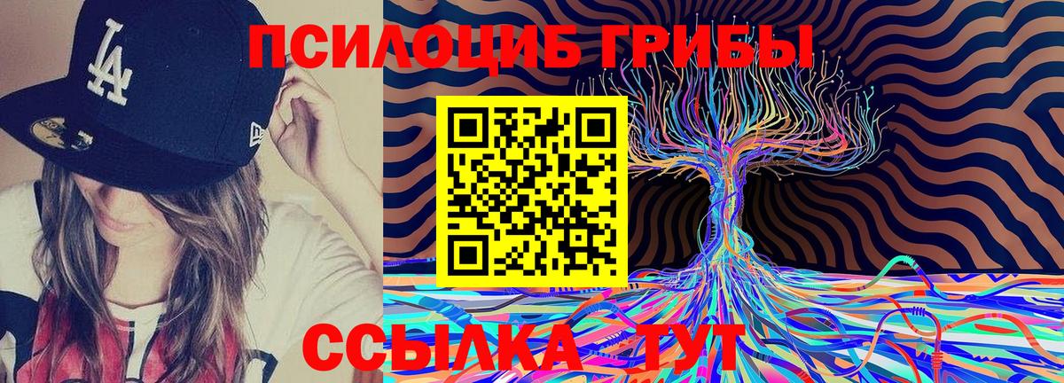 Псилоцибиновые грибы Psilocybe Гуково
